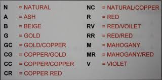 Hair Lightening And Color Chemistry Hair Color Wheel Hair Color Hair Color Chart