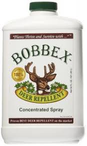 Deer repellent spray for flowers. How To Protect Plants From Deer Stop Deer From Eating Flowers Dealing With Deer