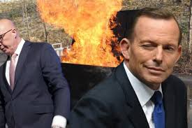 Behind every Liberal loser stands Tony Abbott, hit man