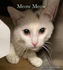 He is afraid of strangers 😁