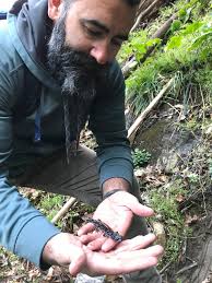 J.J. Apodaca and the Hickory Nut Gorge Green Salamander