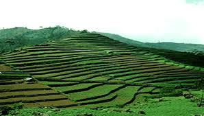 Meskipun begitu, di kulon progo, tepatnya di daerah desa wisata nglinggo, pagerharjo, samigaluh, kabupaten kulon progo, daerah istimewa yogyakarta, terdapat morfologi tanah dataran tinggi yang cocok untuk digunakan. Gambar Dataran Rendah Pengertian Ciri Manfaat Contoh