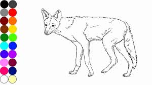 Pin On Popular Animal Coloring Pages