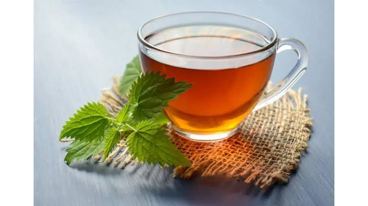 Yerba Mate Tea