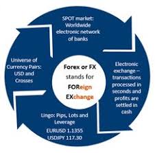 Live rates of all currencies. 650 Forex Ideas In 2021 Inspirational Quotes Quotes Great Quotes