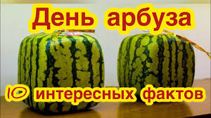Jun 08, 2021 · день в истории. Z Avgusta Mezhdunarodnyj Den Arbuza Samye Interesnye Fakty Ob Arbuze Samyj Malenkij I Bolshoj Youtube