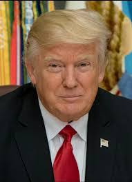 James Lewison's Instagram, Twitter & Facebook