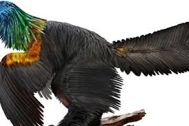 Seringkali ada perasan ingin tahu yang amat sangat mengenai apa dan bagaimana alur. Unik Dinosaurus Ini Memiliki Bulu Berwarna Warni Seperti Pelangi Semua Halaman Bobo
