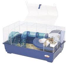 North Star Rescue S Guide To Pet Syrian Hamster Cages Offers Advice And Tips On How To Pick A Safe Cage For Cool Hamster Cages Small Animal Cage Hamster Cages