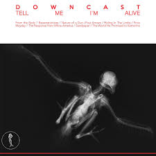 نتیجه جستجوی لغت [downcast] در گوگل