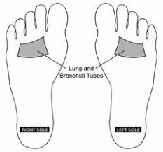 We did not find results for: 6 Acupressure Points To Soothe Your Allergies