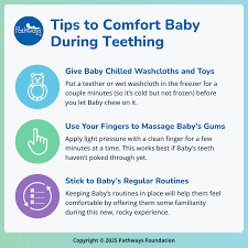 Image result for Teething
