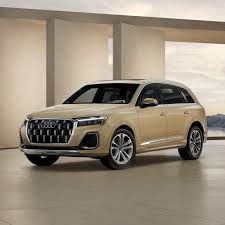 Image result for Vicuna Beige 2020 Q7