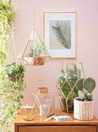 Tendance Deco Urban Garden Maisons Du Monde Bedroom Green Cactus Bedroom Apartment Decor