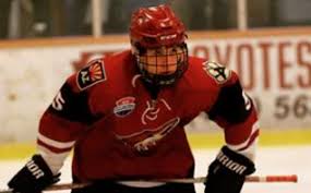Shane retired from the nhl four years ago after spending 20 of his 21 nhl seasons with the. Ushl Draft Selects Five Jr Coyotes