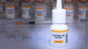 Dix millions de personnes ont reçu au moins une dose de vaccin depuis les annonces d'emmanuel macron du 12 juillet sur le pass sanitaire au total, 45 857 880 personnes ont reçu au. Nasal Vaccines For Covid 19 Medpage Today