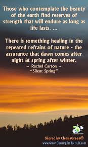 There Is Something Healing In The Repeated Refrains Of Nature Rachel Carson Quote Quotes Green Cleaning Business Nature Quotes Green Cleaning