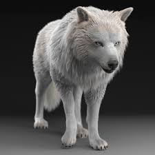 Artstation Wolf Noah Wolf Sculpture Hyena Animal Wolf Artwork