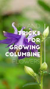 Pin On Popular Gardening Channel Posts