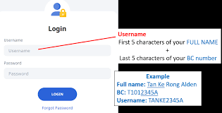 Üniversite portal sistemi yer almaktadır. Student Learning Space