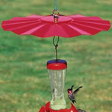 Enjoy free shipping & browse our great selection of bird feeders, bird baths, bird houses and more! Duncraft Com Hummingbird Weather Baffle