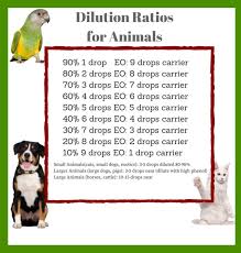 Essential Oils Dilution Ratios Professional Pet Sitting