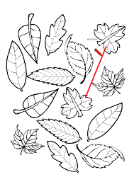 Eslestirme Calisma Kagidi Okuloncesitr Preschool Boyama Sayfalari Free Fikirler