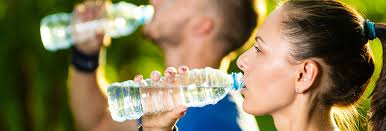 Application Notebook: Food Integrity Database