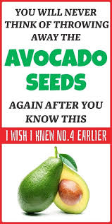 Amazing Health Benefits Of Avocado Seeds Avocado Seed Avocado Health Benefits Coconut Health Benefits