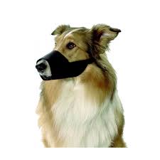 C'est un accessoire canin faisant partie des incontournables au même titre que la laisse pour chien et le collier spécial. Museliere En Nylon Noir