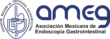 Asociación Mexicana de Endoscopia Gastrointestinal