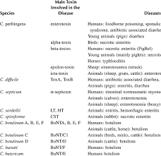 Botulinum toxins are one of the most lethal substances known. 7 Clostridium Species And Their Main Toxins Involved In Download Table