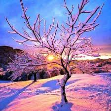 صور من الجزائر رتويت max صور اعجبتك السياحة في الجزائر الجزائر و ما ادراك ما الجزائر winter scenes beautiful landscapes beautiful nature