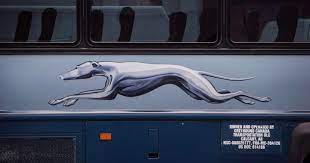 Greyhound canada is permanently cutting all bus routes across the country, shutting down the intercity bus carrier's operations in canada after nearly a century of service. Greyhound Canada To Cut All Bus Routes End Operations Globalnews Ca