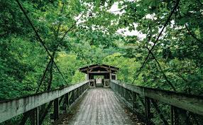 Maybe you would like to learn more about one of these? The Big Turtle In Tennessee The Sheltowee Trace Scores A New Trail Town The Tennessee Conservationist May June 2021