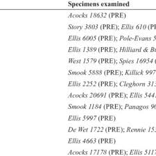 Image result for Trisetopsis elongata