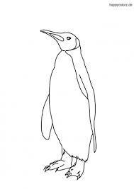 Pinguin Malvorlage Kostenlos Pinguine Ausmalbilder