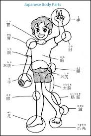 Jun 01, 2021 · by paul olayemi. Japanese Body Parts Words And Vocabulary