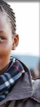 Annual Report 2012–13