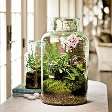 Garden Under Glass Beautiful Terrariums How To Make Terrariums Garden Terrarium