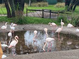 Would you like to here? Review This Disney World Cake Will Play A Trick On You The Disney Food Blog
