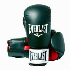 Everlast Equipment Boxing Gloves Rodney