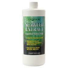 Check spelling or type a new query. Growmore Seaweed Extract Liquefied Natural Kelp 1qt Buy Online In Andorra At Andorra Desertcart Com Productid 33560793