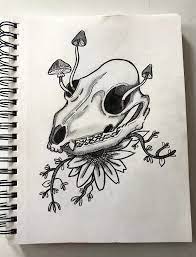 Pin On Drawing