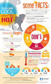 He does warn pet owners away from pads not meant for use with pets: Pet Heat Wave Dangers Pet Health Insurance Tips