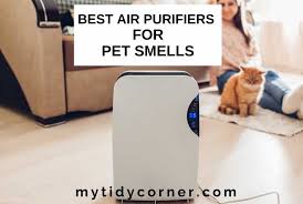 Before you spend money on an air cleaner that will be an integral part of your home, you need to know about some things. 7 Best Air Purifiers For Pet Smell Reviews 2021