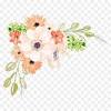 Seeking for free watercolor flowers png images? 1