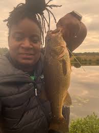 Catching bass with whopper plopper