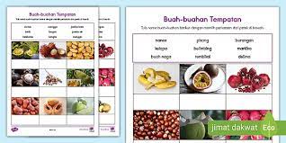 Check spelling or type a new query. Buah Buahan Tempatan Teacher Made