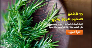15 فائدة صحية للروز ماري Health Food Herbs Food